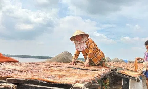 Đặc sản cá khô của “xứ biển Gành Hào” đắt khách dịp Tết 2023