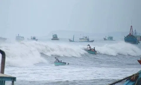 Khẩn trương tìm kiếm ngư dân trên tàu cá Bình Thuận rơi xuống biển mất tích